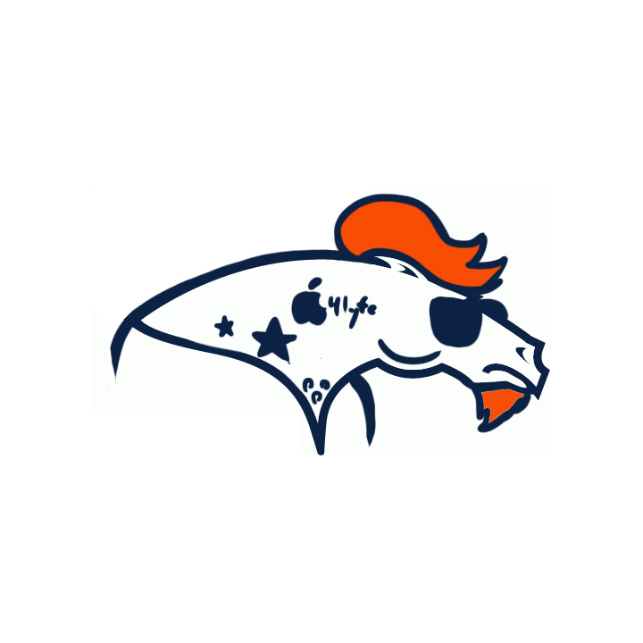 Denver Broncos Hipsters Logo fabric transfer